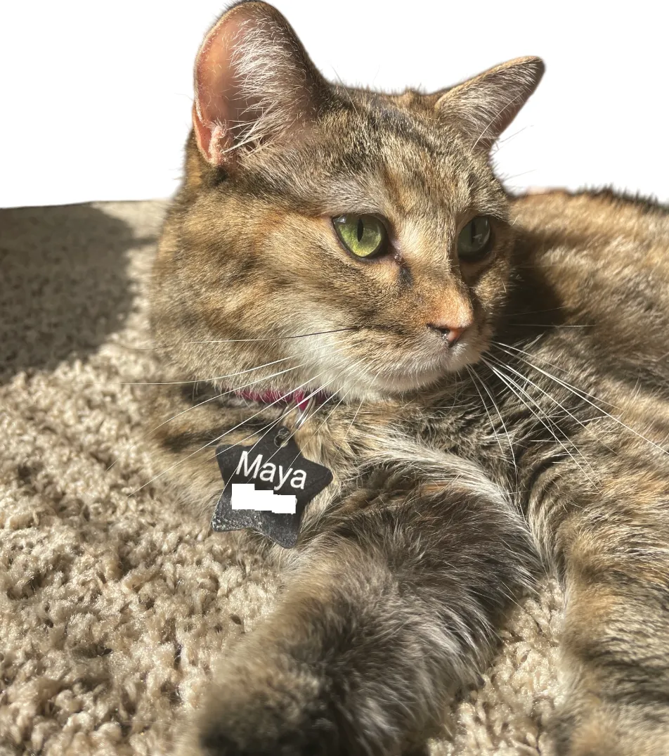 Maya
