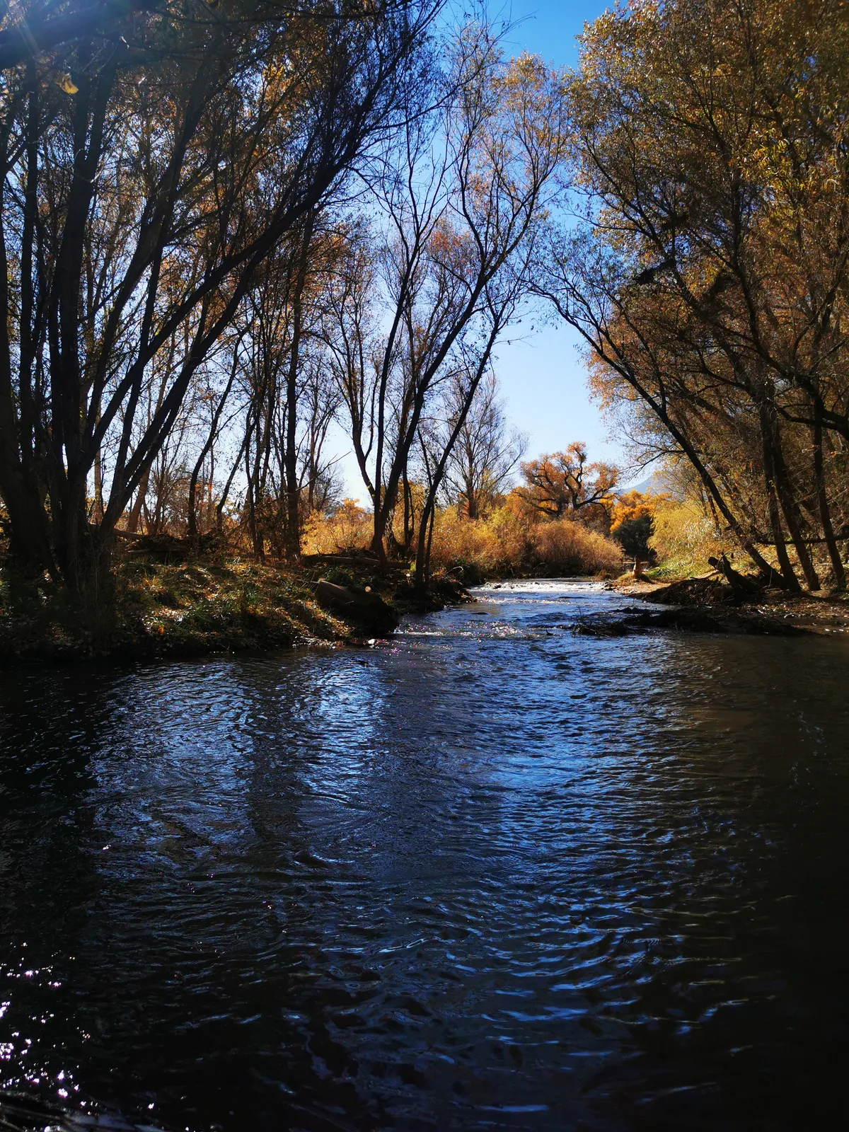 dead horse ranch