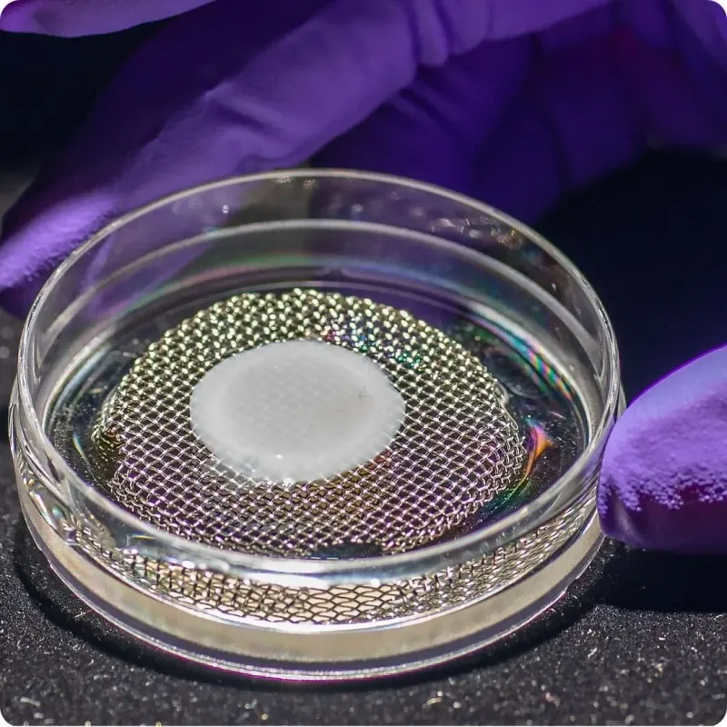 3D-printed skin model
