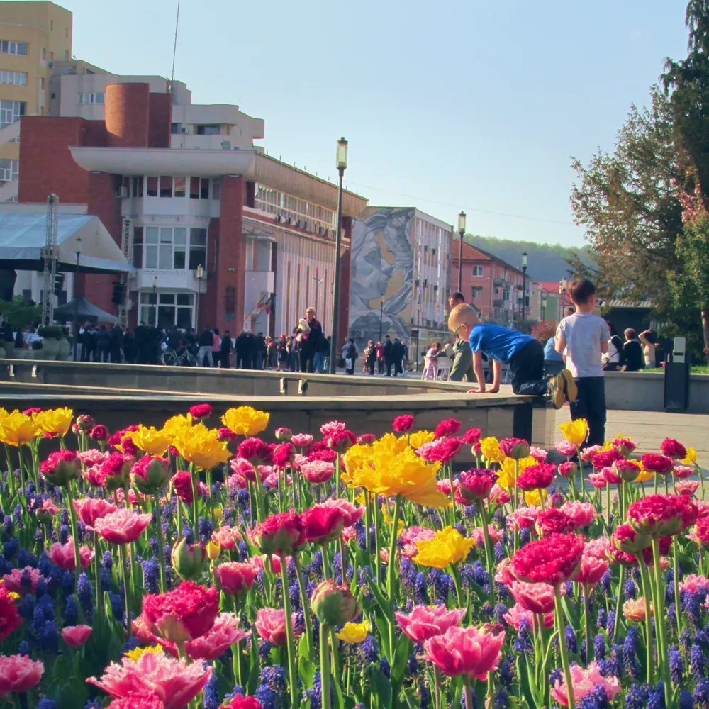 April 2026 | Cats, flowers and spring celebrations