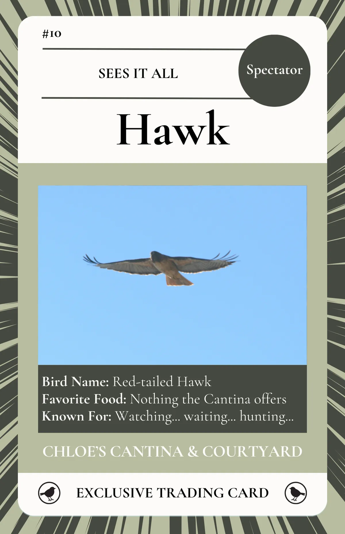 Hawk