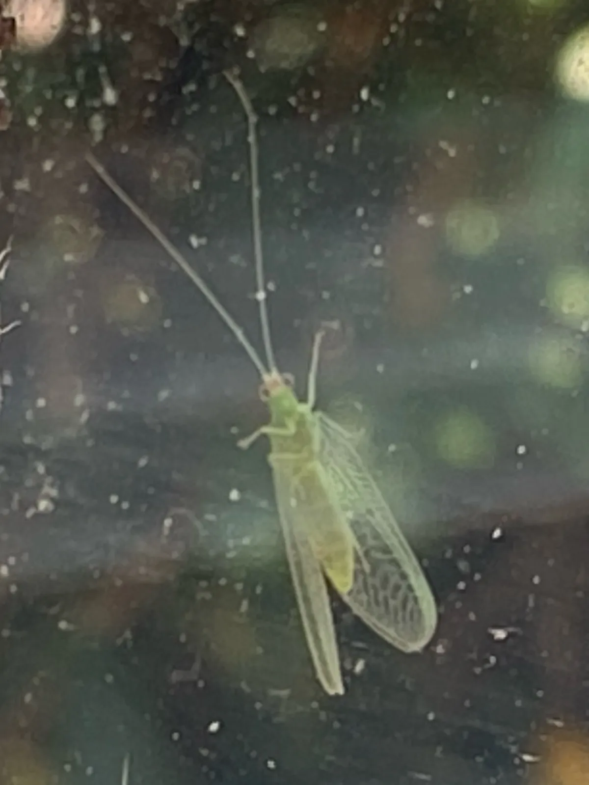 IMG_0902_crop
