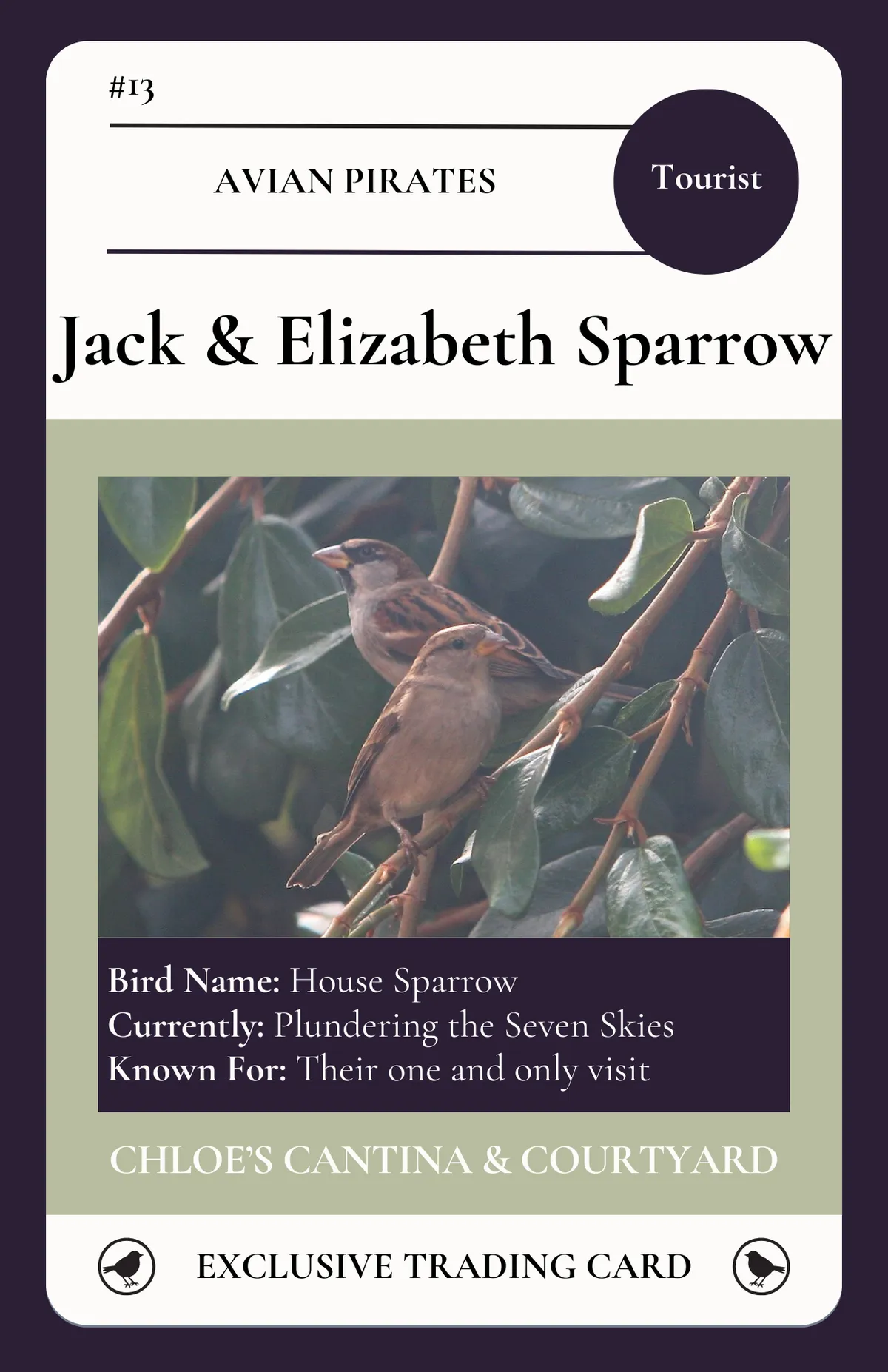 Jack Elizabeth Sparrow