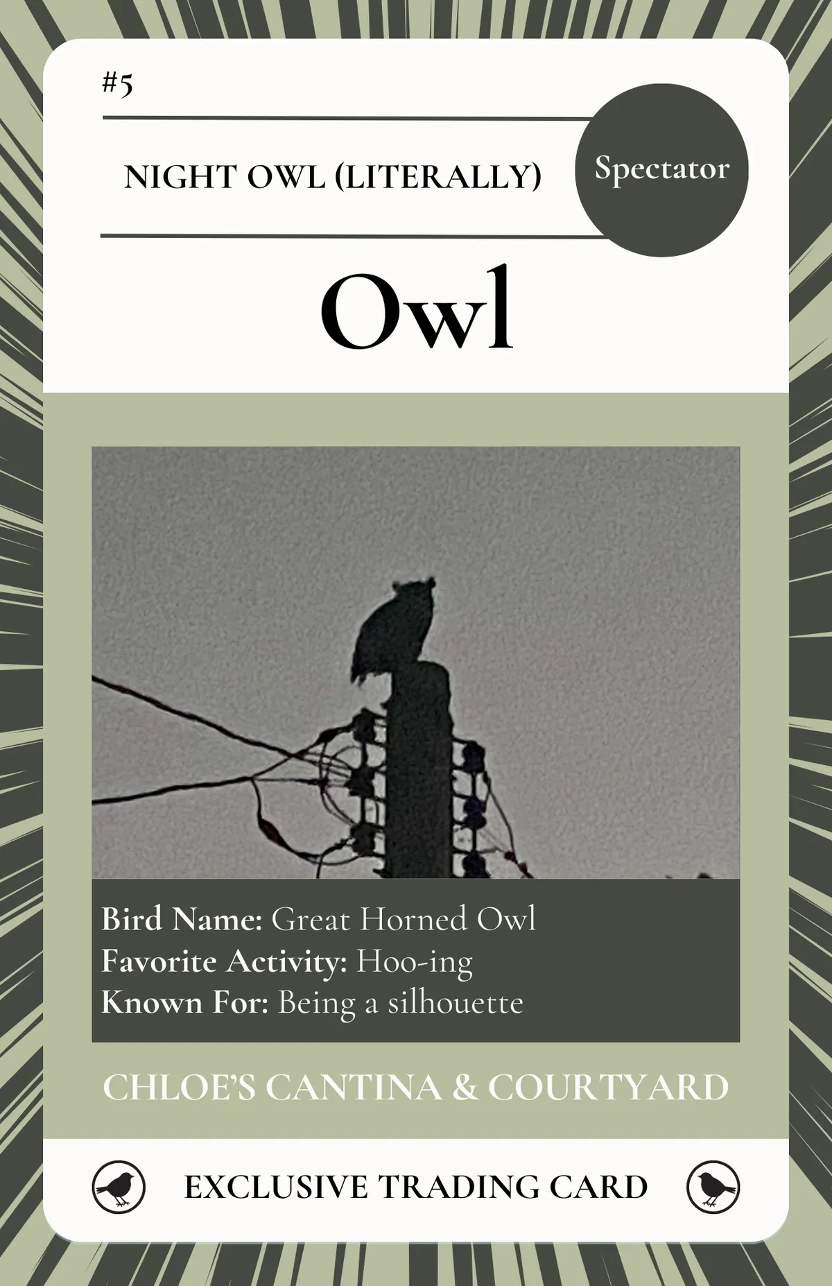 Owl