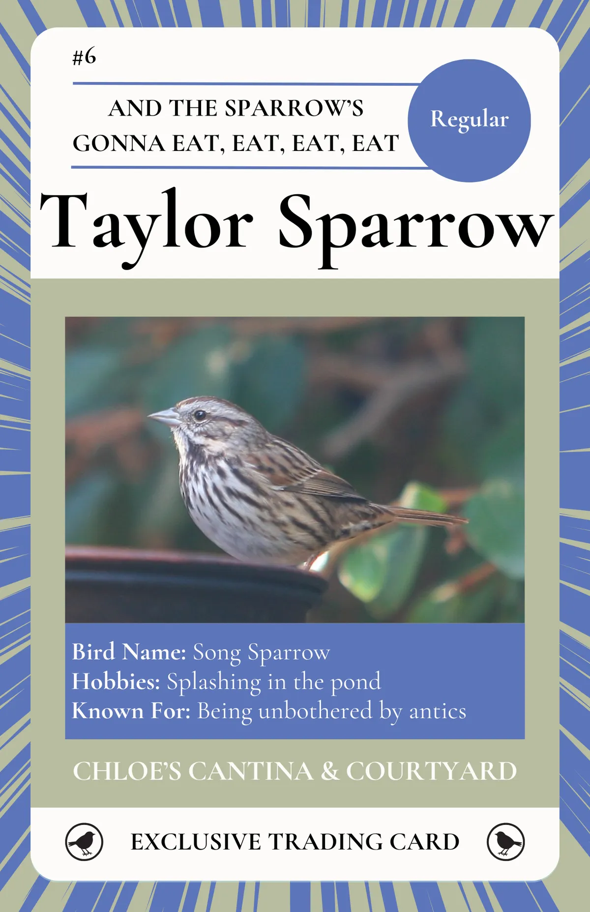 Taylor Sparrow