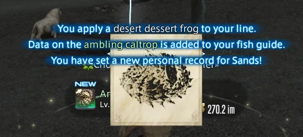 The ambling caltrop being added to my fishing guide, caught at 270.2 im