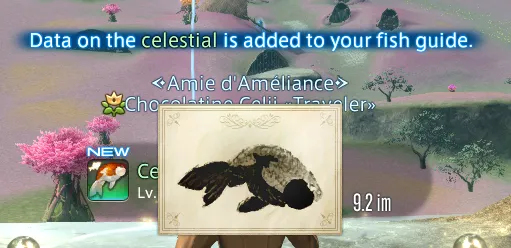 The Celestial being added to my fishing guide, caught at 9.2 im.