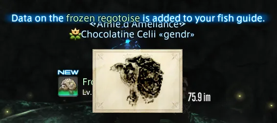Frozen Regotoise