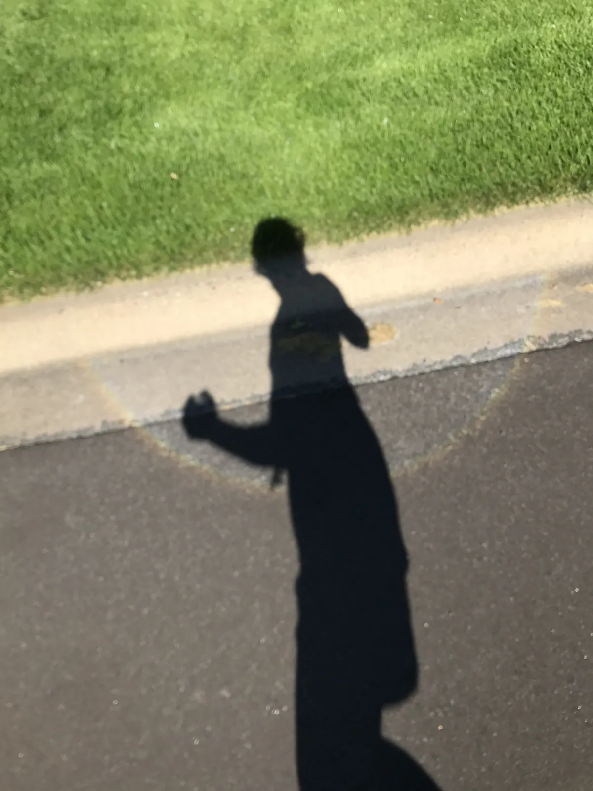 A shadow of a person running along a curb.