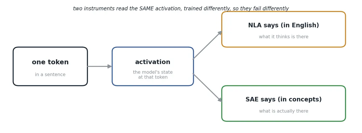fig1_setup