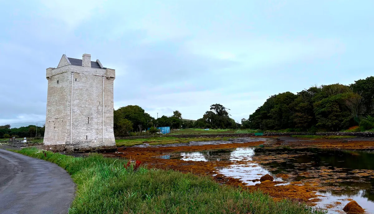 Rockfleet Castle