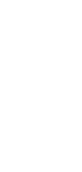 N=2