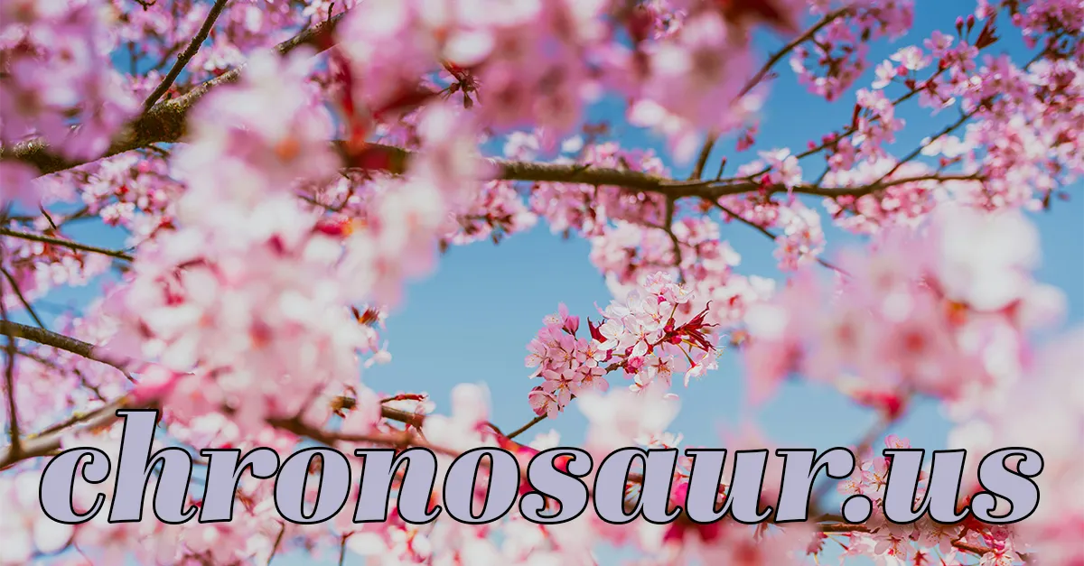 bear-images.sfo2.cdn.digitaloceanspaces.com image