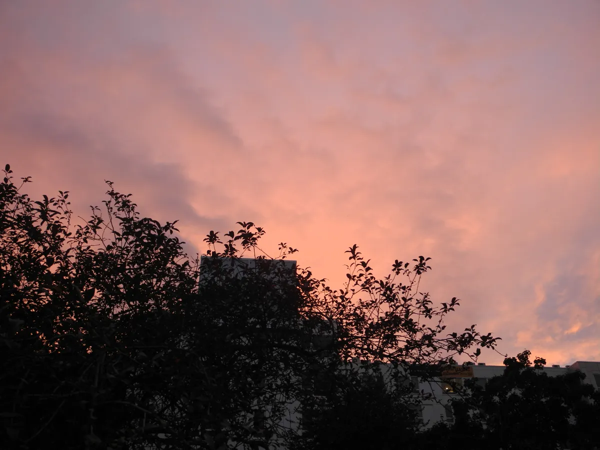 DSCN0280