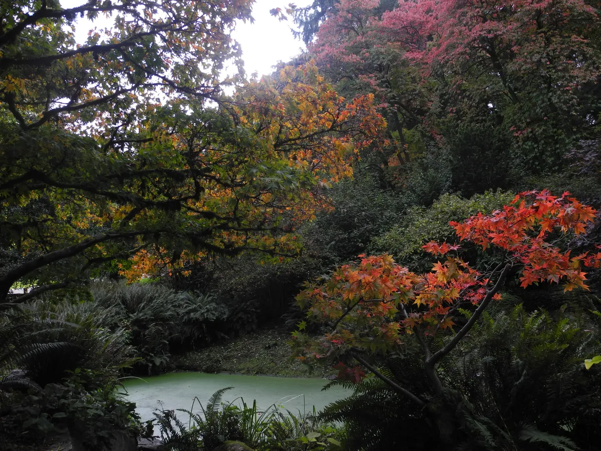 DSCN0304