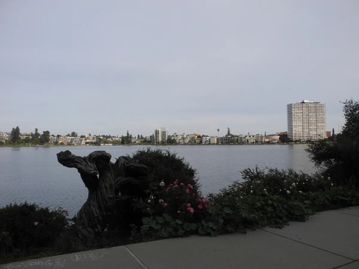 DSCN0446