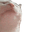508123a1617138351