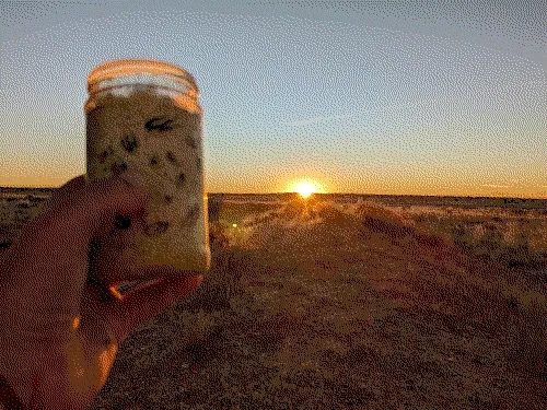 jar3