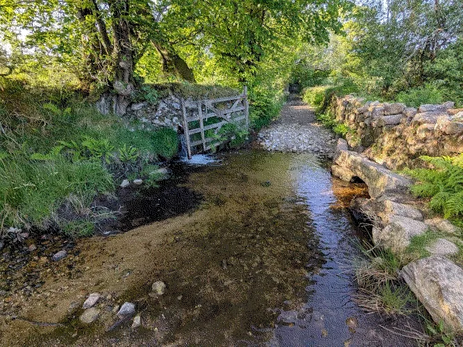 PXL_20260524_180026451