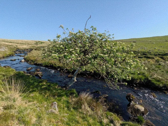 PXL_20260525_080326726