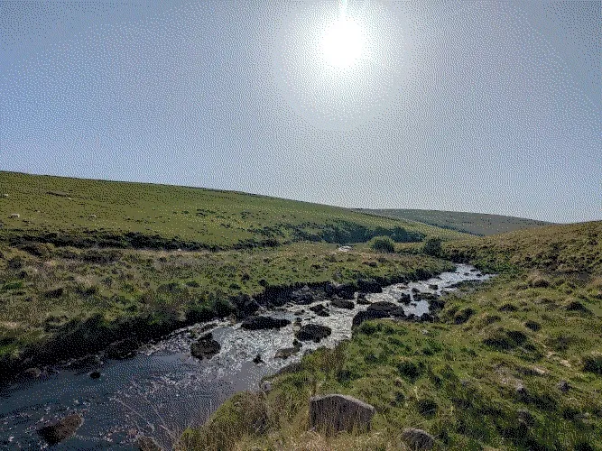 PXL_20260525_080332847