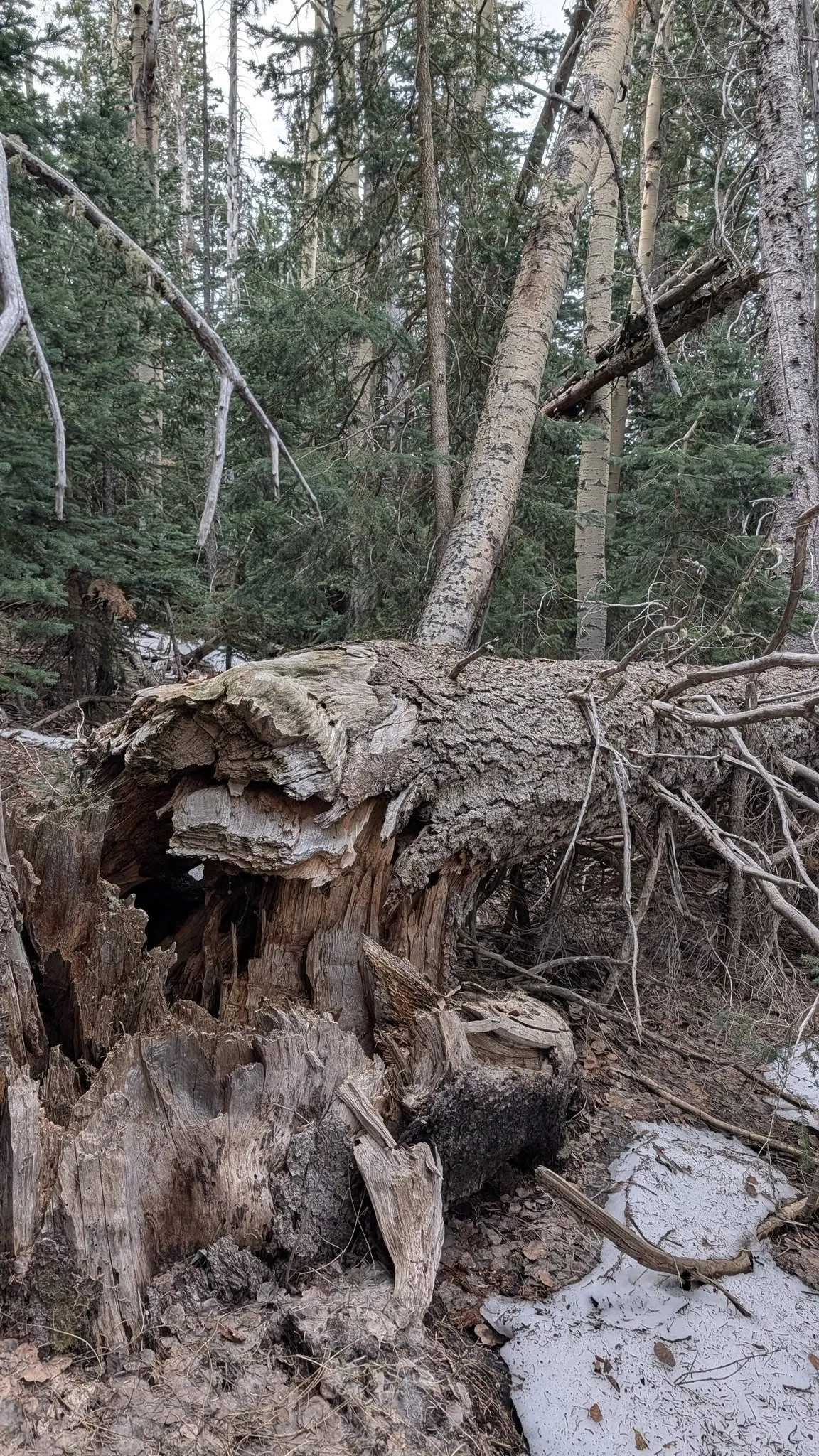 655756668_26623114197313109_2582879968317457401_n