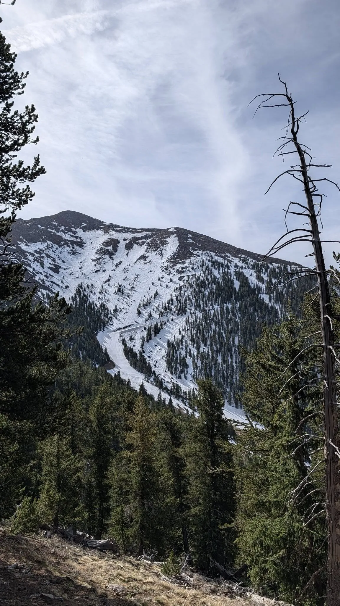 656686692_26623116763979519_4128257538905790436_n