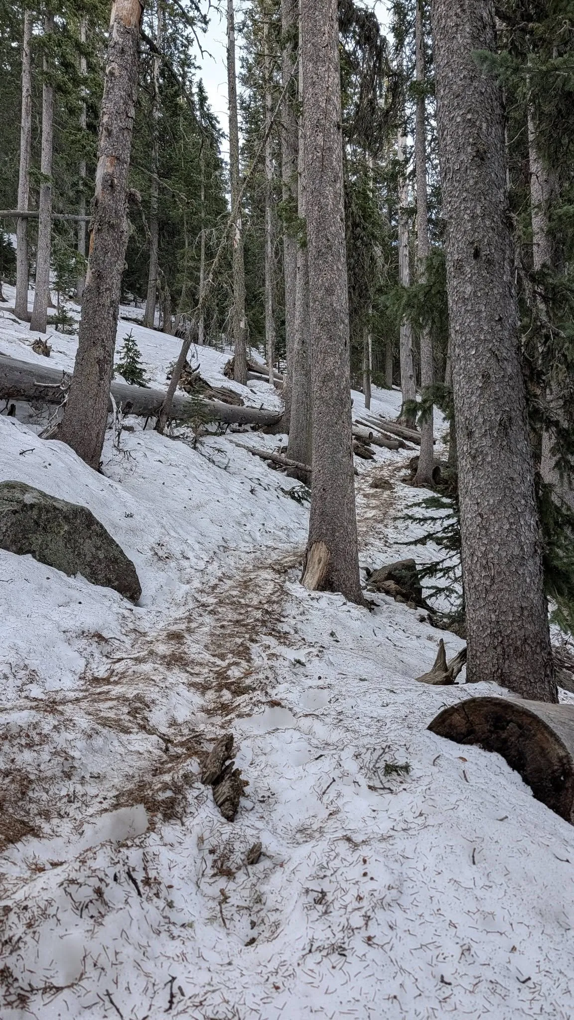 657339692_26623115803979615_5965408779794220360_n