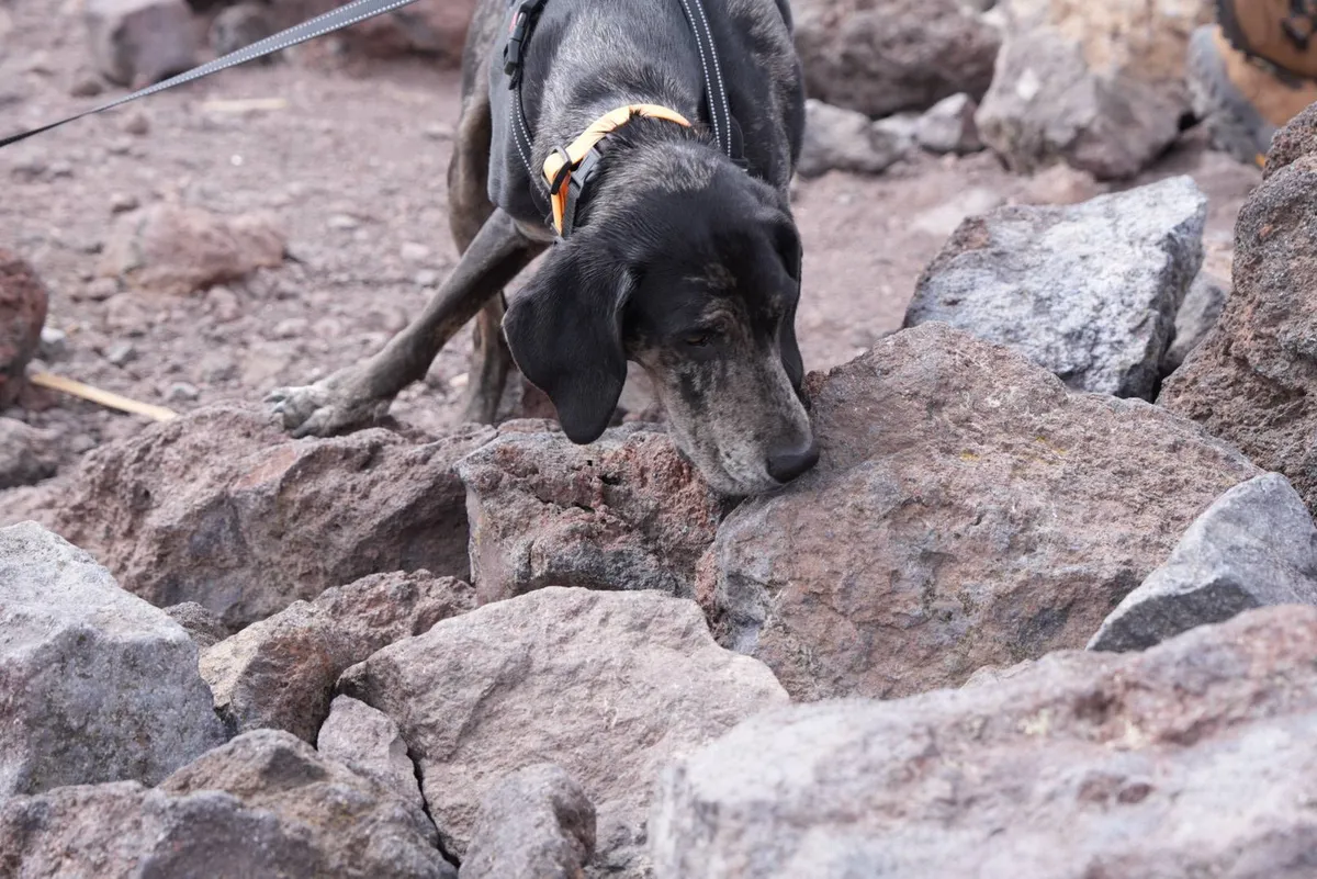 657746403_26623122183978977_1258257818234201728_n