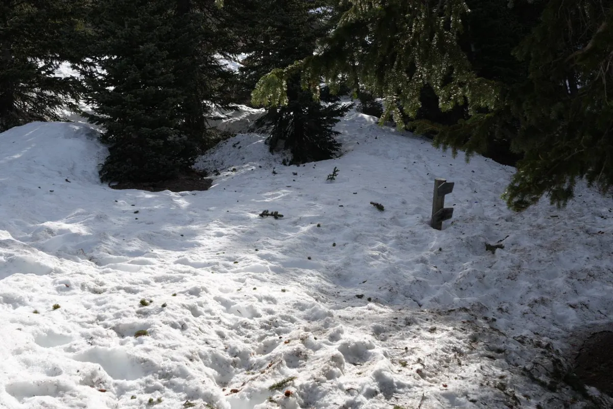 658953906_26623120830645779_3762306367623829619_n