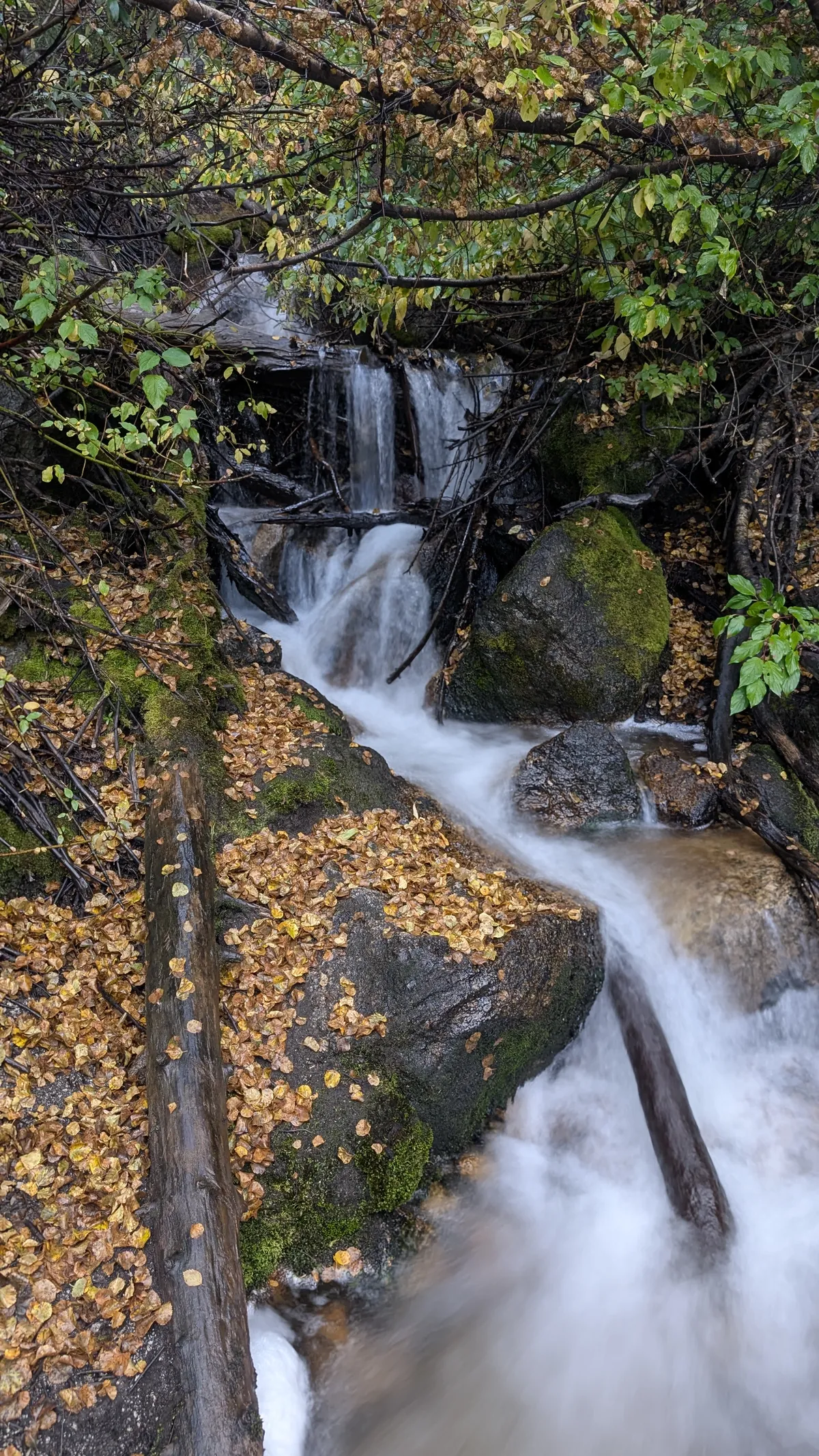 PXL_20250929_004607734