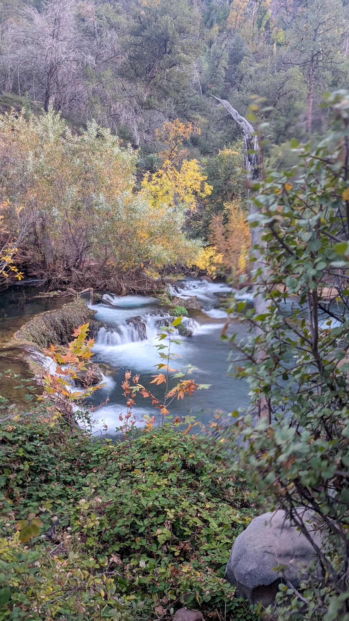 PXL_20251104_002802096