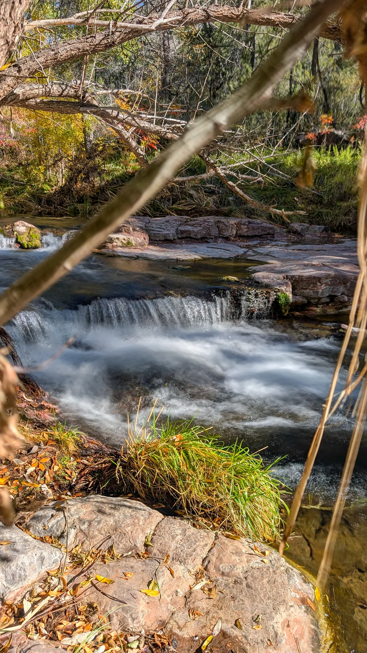 PXL_20251104_171350982