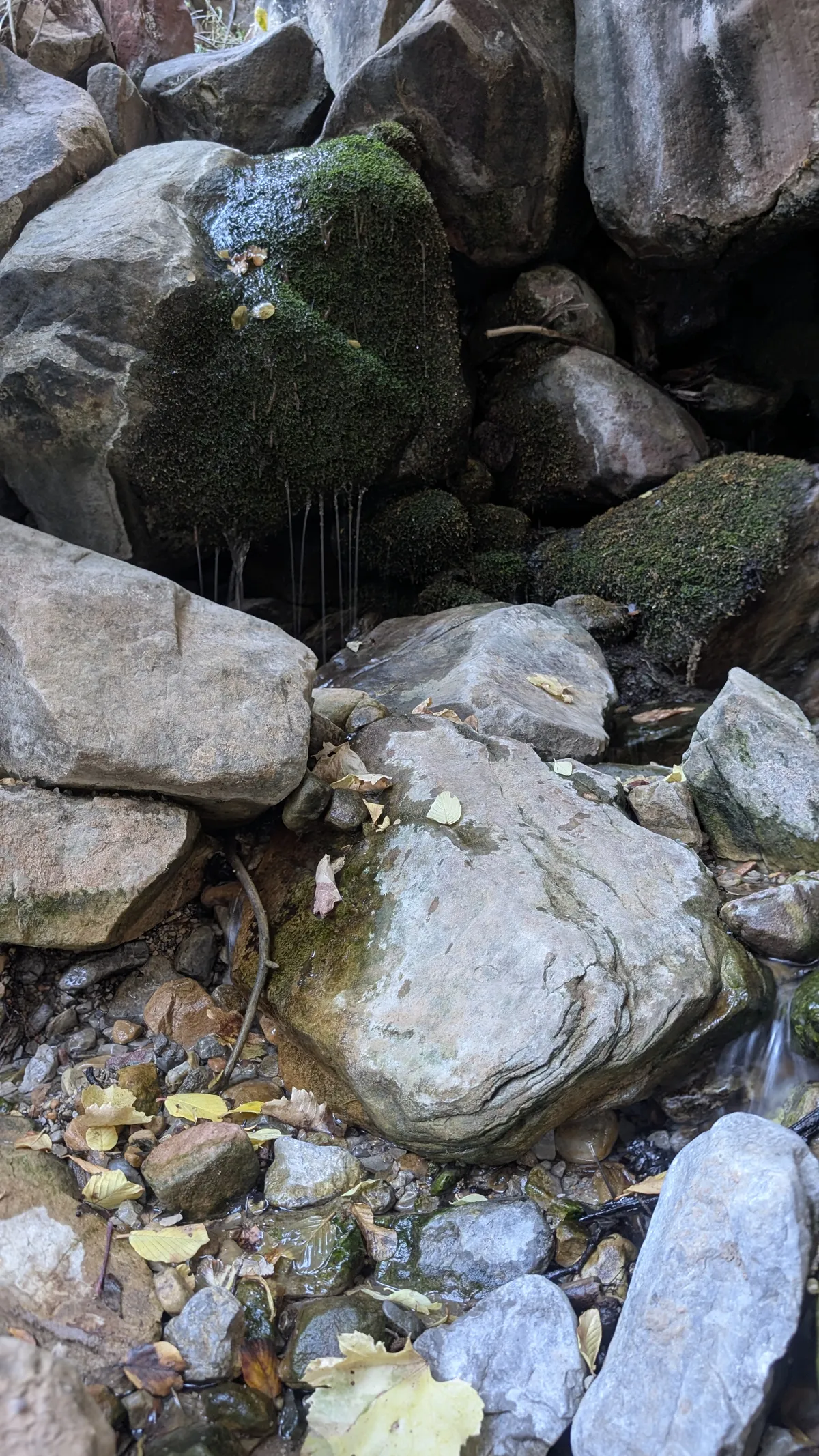 PXL_20251110_183216348