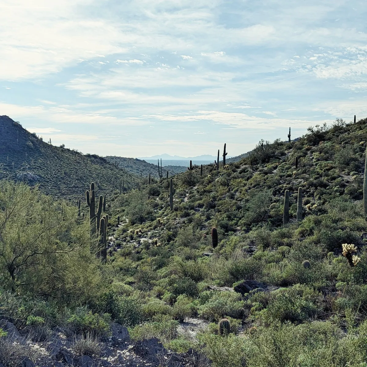 IMG_20251226_133454_319