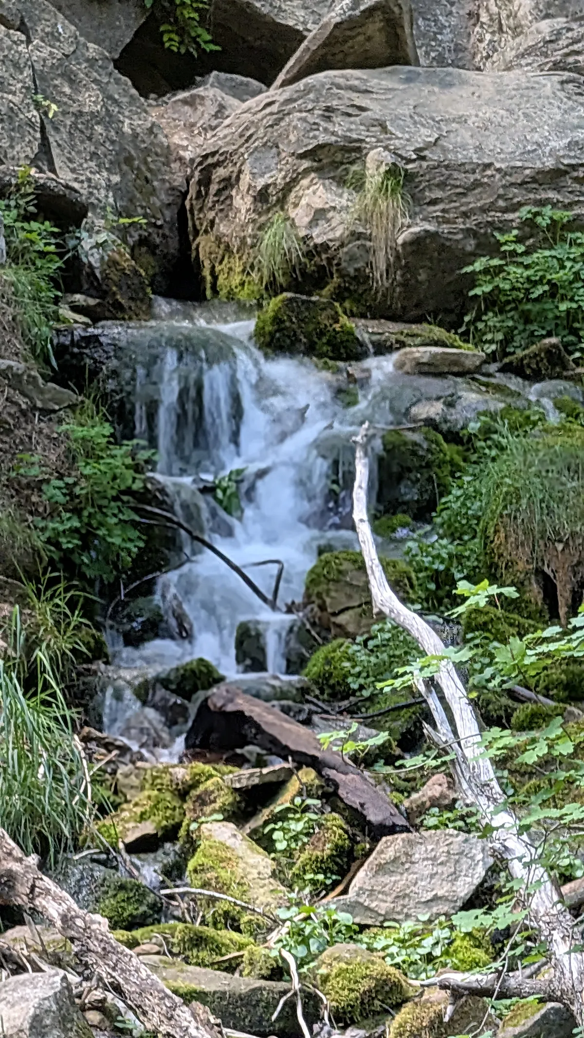 PXL_20260509_214315024