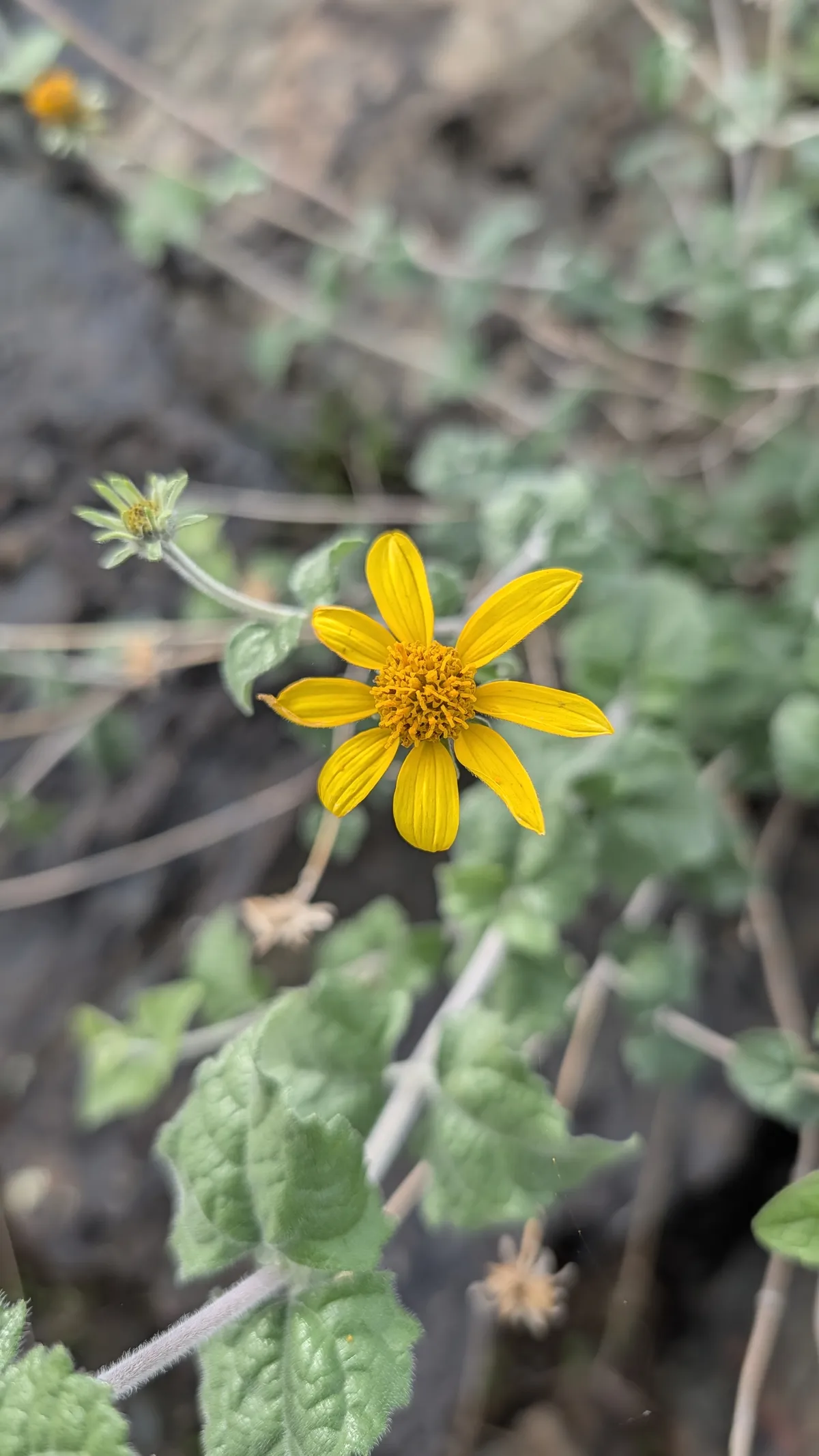 PXL_20260103_193344189