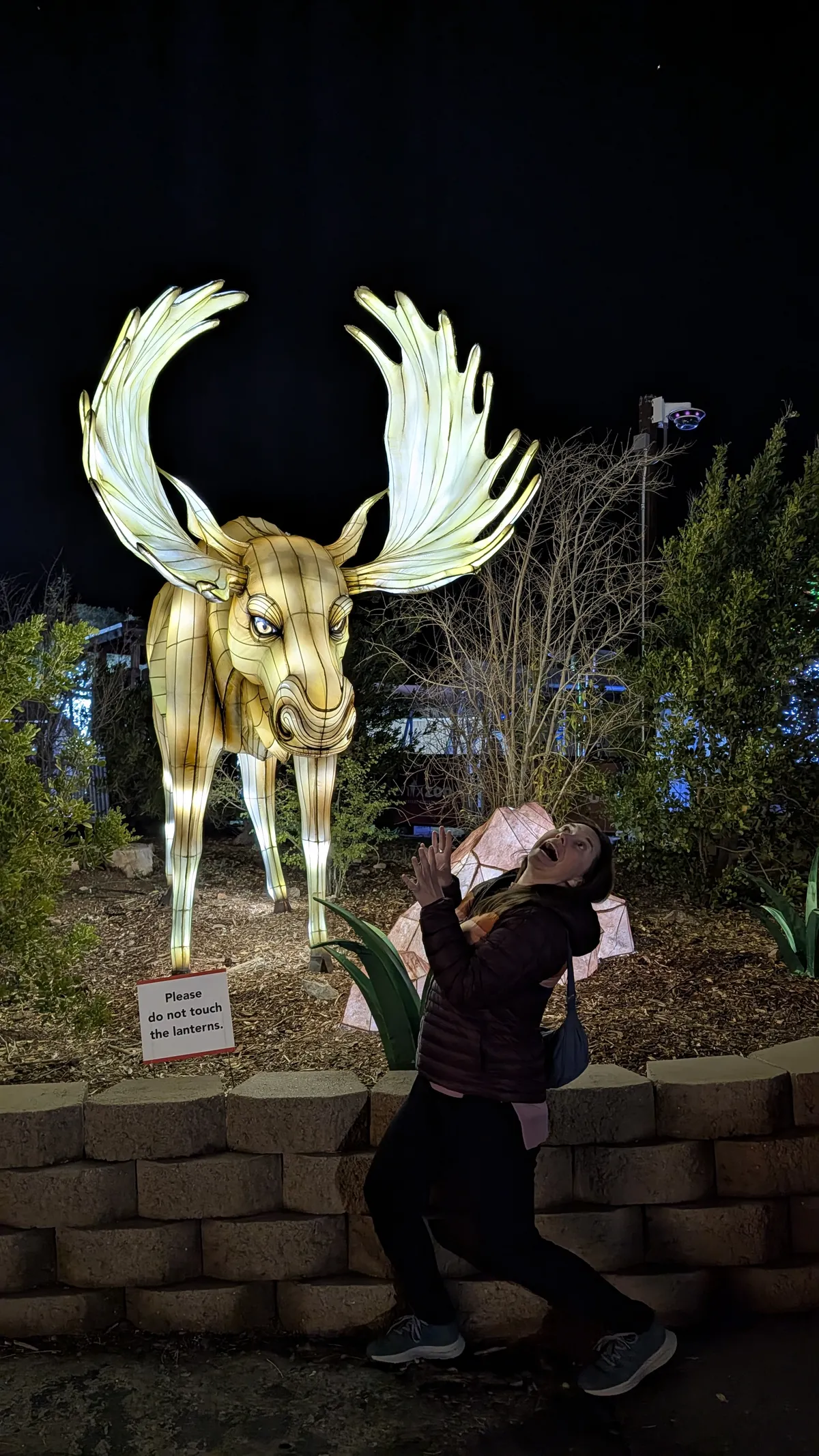 PXL_20260109_033344828