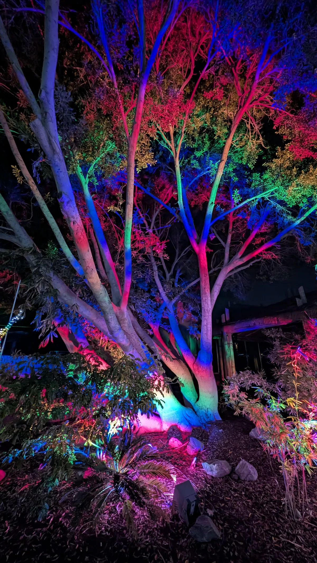 PXL_20260109_040628042