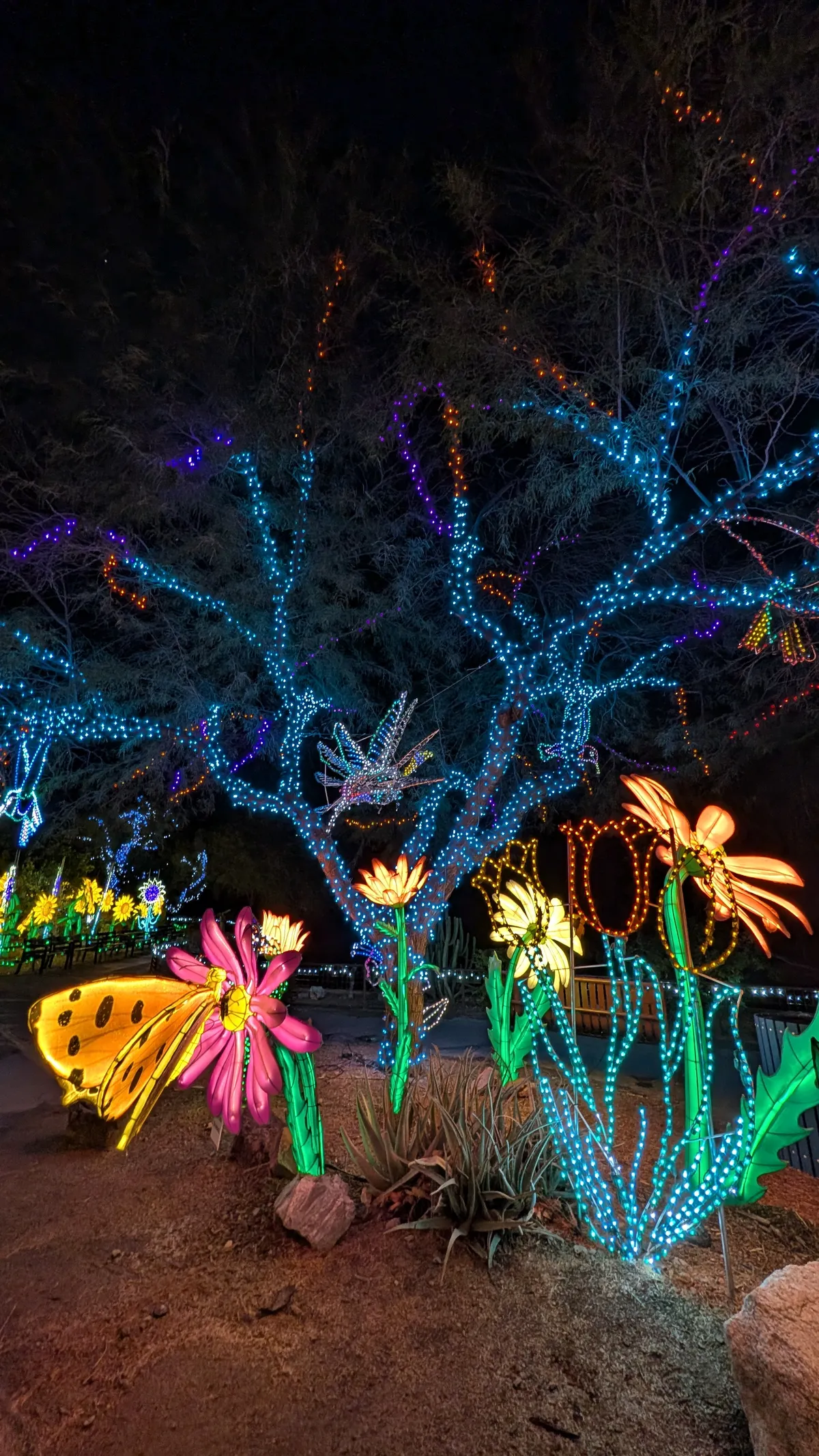 PXL_20260109_045752828