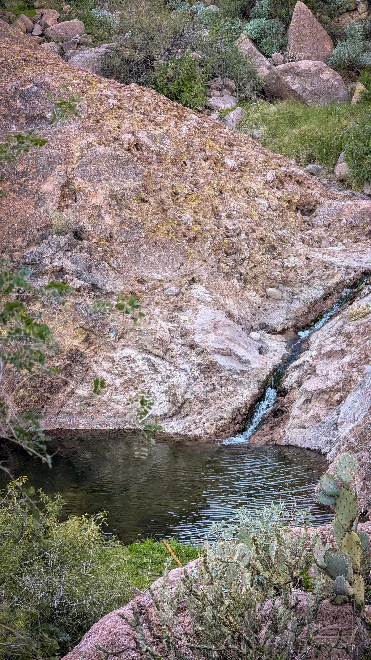 PXL_20251206_223248024