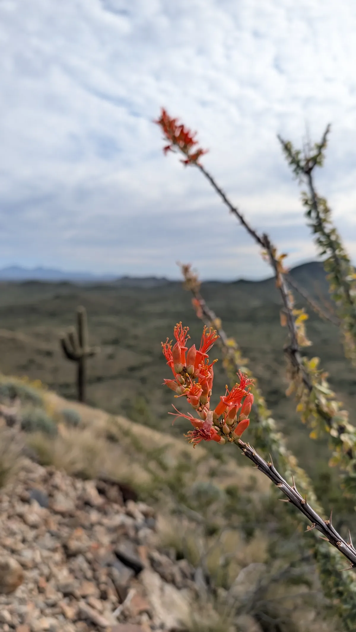 PXL_20260103_194336264