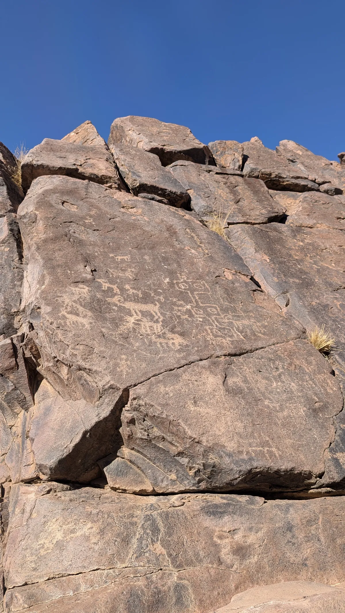 PXL_20250118_172248973