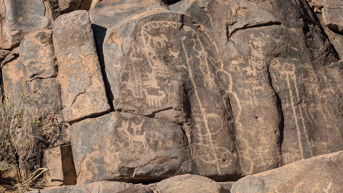 PXL_20250118_172342229