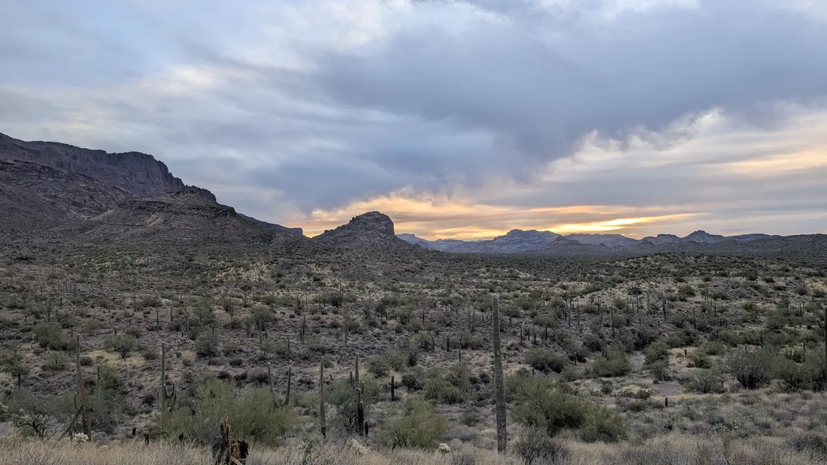 PXL_20250125_143715340