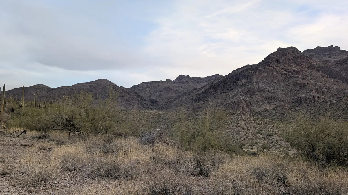 PXL_20250125_144052260