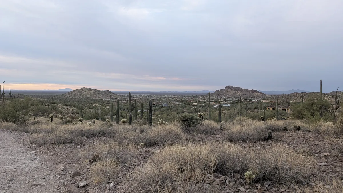 PXL_20250125_144055631