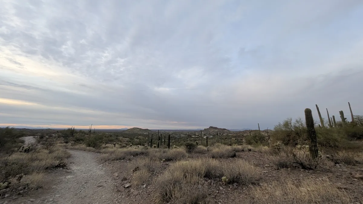 PXL_20250125_144100359