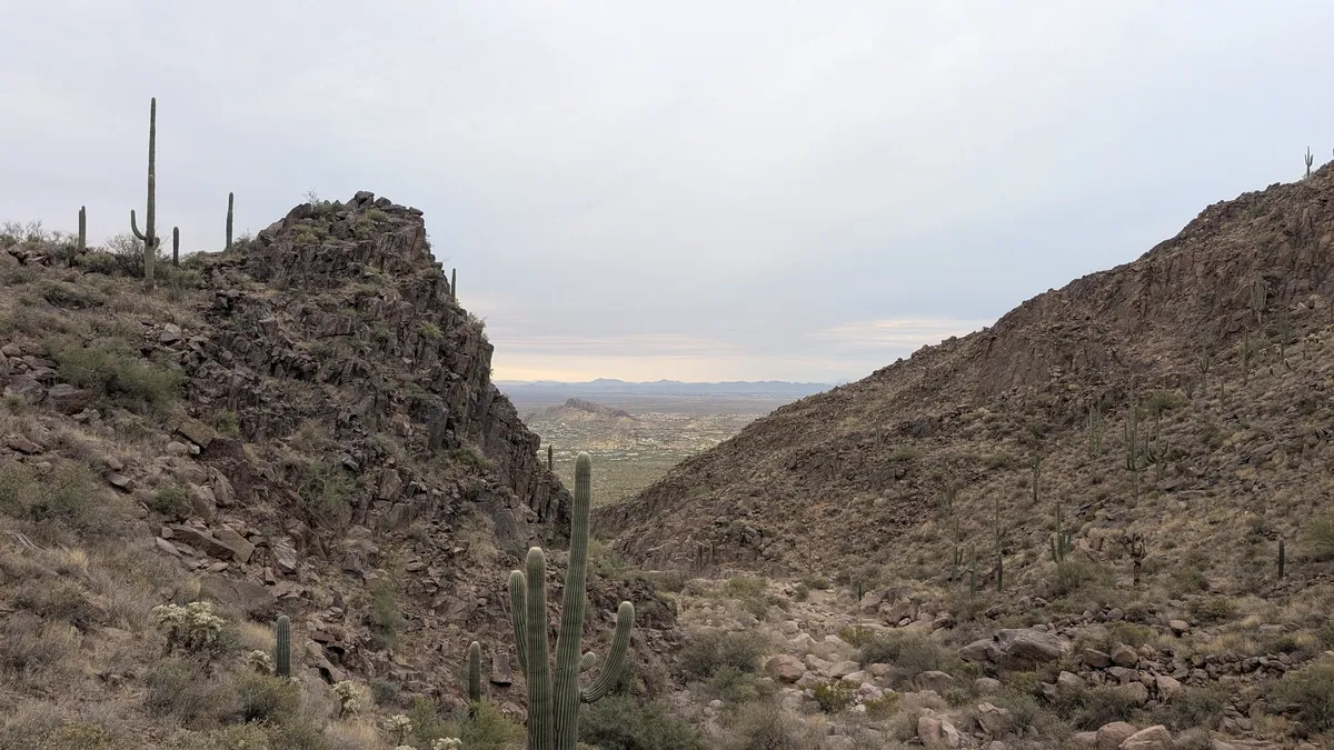 PXL_20250125_152018473