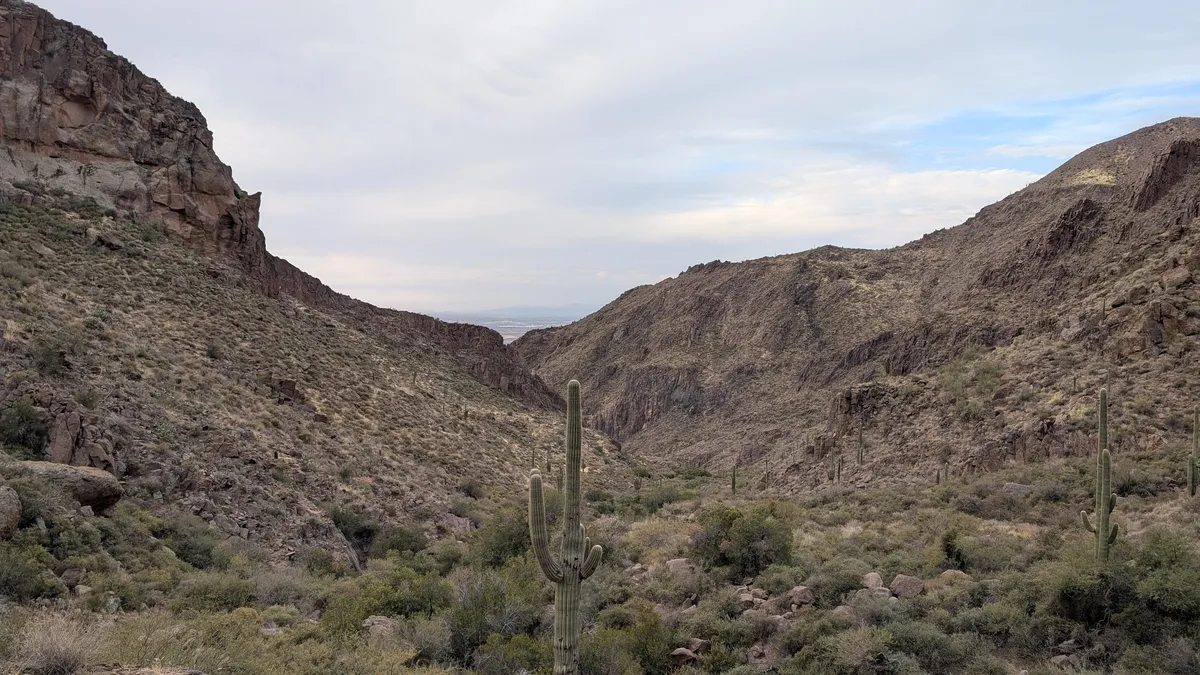 PXL_20250125_160900473